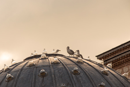 Outer view of dome in Ottoman architecture  in, Istanbul, Turkeyの写真素材