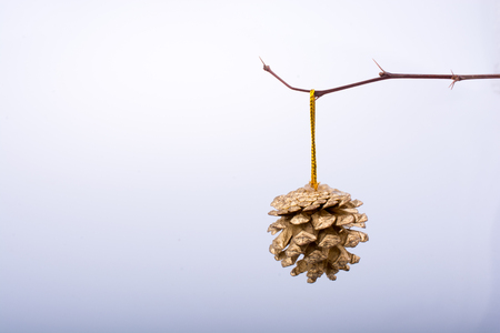 Pine cone  at the one  edge of a stickの写真素材