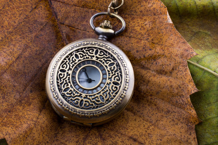Retro style pocket watch placed on a dry leaves