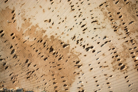 Wall surface as a simple background  texture pattern