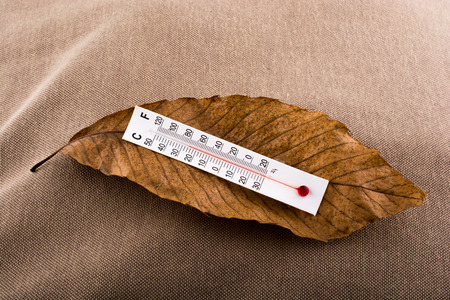 Little thermometer placed on a brown dry leafの写真素材
