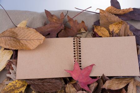 Open blank notebook with fallen autumn leaves  as a backgroundの写真素材