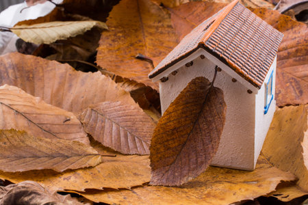 Little model house places on an Autumn background with leavesの写真素材