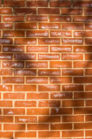 Old grunge brick wall as a background