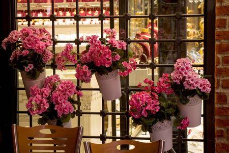 The Flower pots with beautiful flowers in itの写真素材