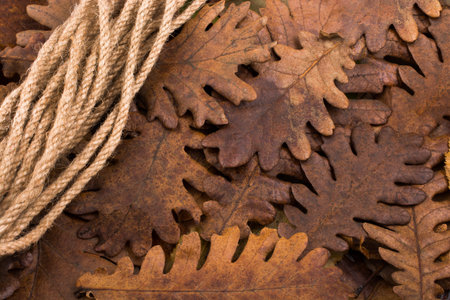 Rope and a dry leaf as an autumn background