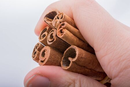 Hand holding cinnamon sticks on a white backgroundの写真素材