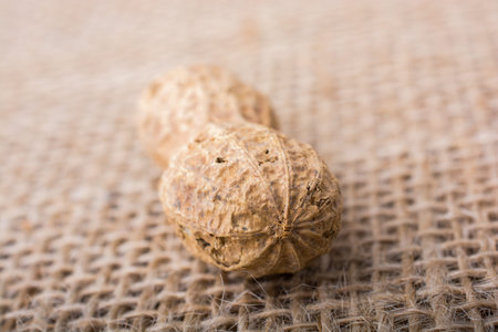 Peanut with shell on a linen canvas background