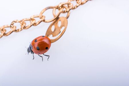 Beautiful photo of red ladybug walking on a chainの写真素材
