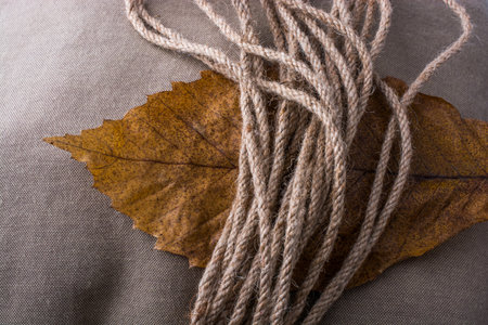 Rope and a dry leaf as an autumn background