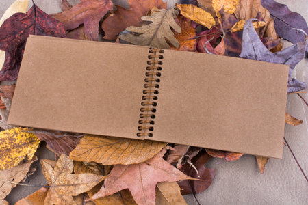 Open blank notebook with fallen autumn leaves  as a background