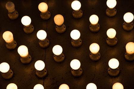 light bulbs are hanging on a fixed place