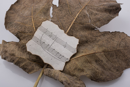 Macro view of a dry leaf with paper with  musical notes of  autumn seasonの写真素材