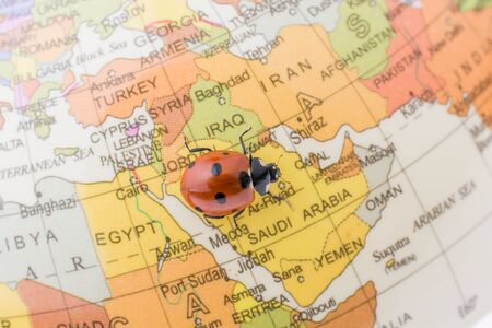 Ladybug walking on a little colorful model globeの写真素材