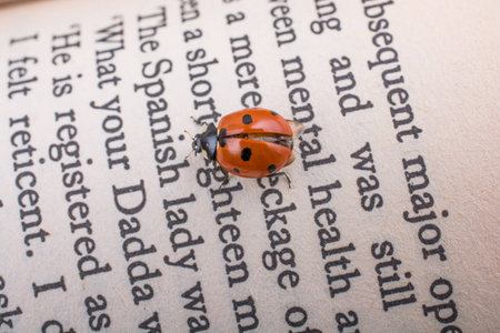 Beautiful photo of red ladybug walking on a book page