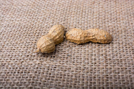Peanuts in a shell on linen canvas backgroundの写真素材