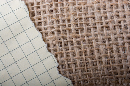 Piece of torn paper placed on a linen canvas