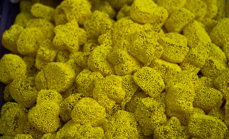 Heart shaperd delicious candy and sweets for kidsの写真素材