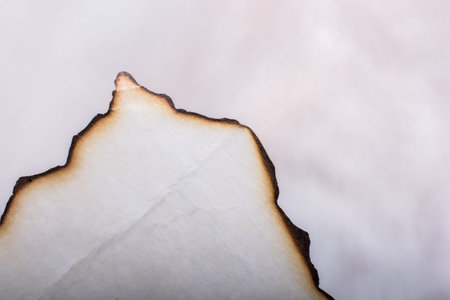 Piece of  burnt paper placed on a white backgroundの写真素材