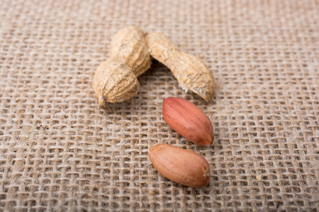 Cracked open peanut with shell on a linen canvas backgroundの写真素材