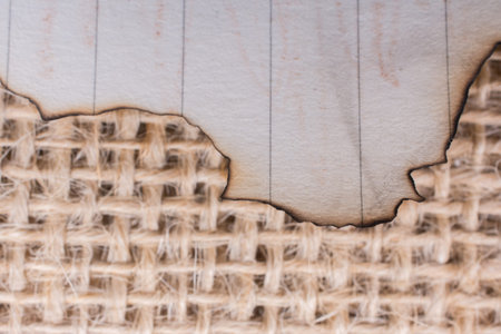 Piece of  burnt paper placed on a linen canvas