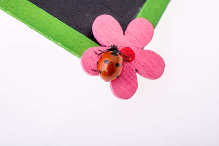 Beautiful photo of red ladybug walking on a  fake flowerの写真素材