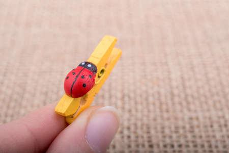 Ladybug icon  attached to a clothespin in handの写真素材