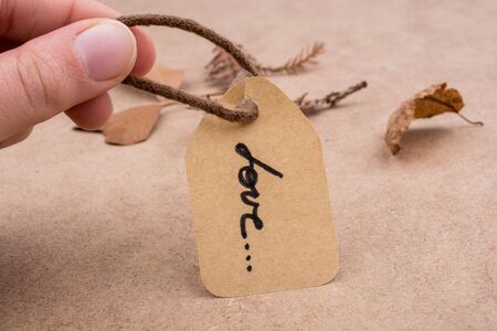 The word of love written in Latin lettersの写真素材