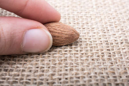 hand holding almond  on a linen canvas backgroundの写真素材