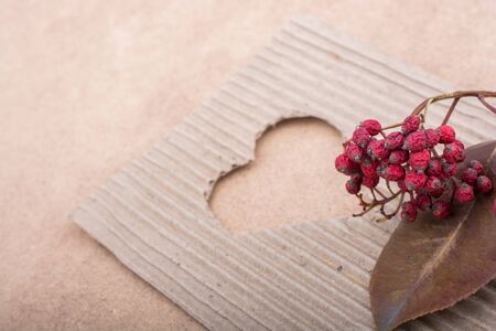 Wild fruit and heart shaped cut out of a brown cardboardの写真素材