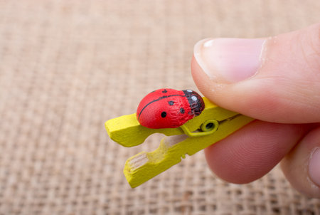 Ladybug icon  attached to a clothespin in hand