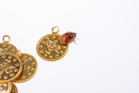 Beautiful photo of red ladybug walking on a fake coinsの写真素材