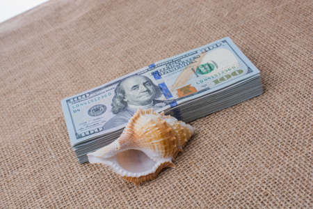 Sea shell placed on  bundle of US dollar banknotesの写真素材