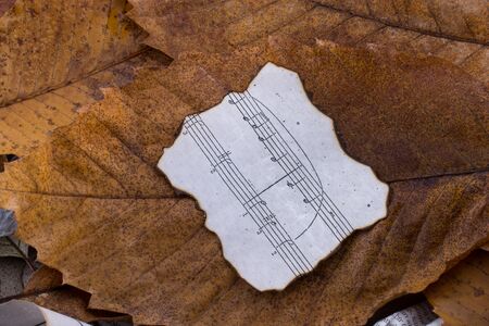 Musical notes on burnt paper placed on a leafの写真素材