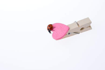 Beautiful photo of red ladybug walking on a pink heart iconの写真素材