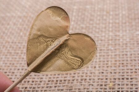 Little gold color heart shape held in a  handの写真素材