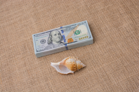 Sea shell placed on  bundle of US dollar banknotesの写真素材