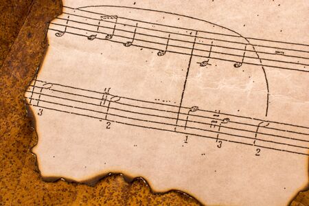 Musical notes on burnt paper placed on a leafの写真素材