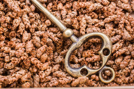 Plenty of Retro styled golden color keysの写真素材