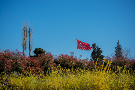 Turkish national flag hang on a pole in open air