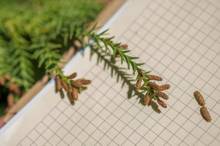 Leaves in hand over a notebook page