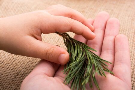 Arrayの写真素材