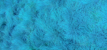 Background with a certain texture patternの写真素材