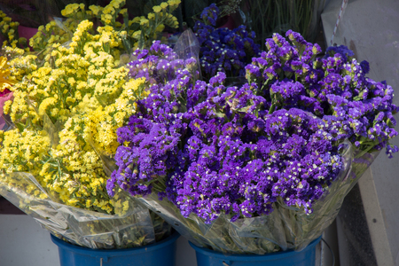 Beautiful flowers of various types in a flower in vaseの写真素材