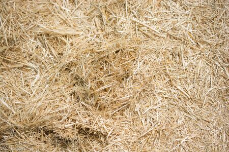 Background with a certain texture patternの写真素材