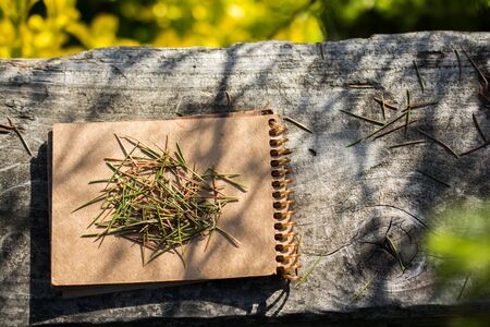 Leaves in hand over a notebook pageの写真素材