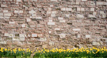 Wall made of the same type and same color of stonesの写真素材