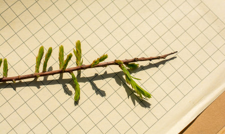 Leaves in hand over a notebook page