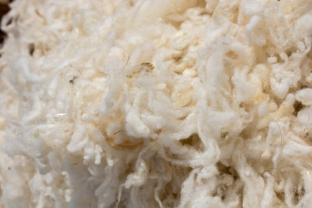 Heap of wool as a texture background