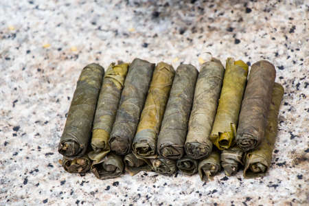 Stuffed grape leaves in Turkish style cookingの写真素材